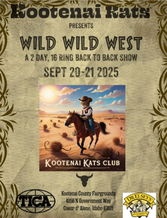Wild Wild West show poster