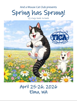 SPring Has Sprunnggg show poster
