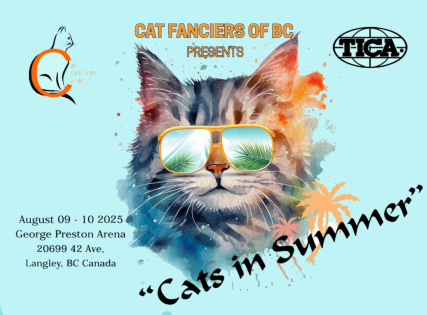 Cats in Summer show poster