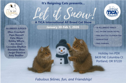 Let It Snow show poster