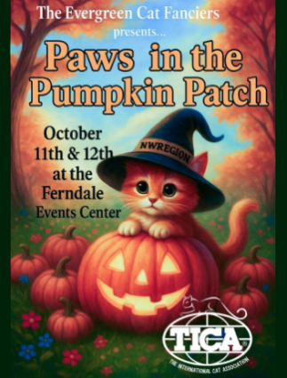 Paws in the Pumpkin Patch show poster