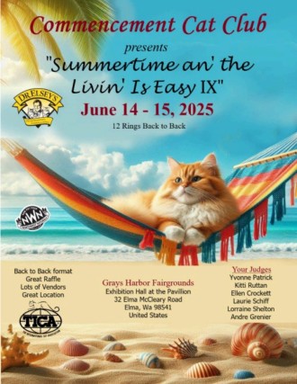 Summertime show poster