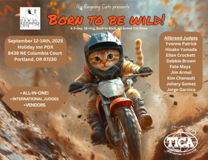 Born to be Wild show poster